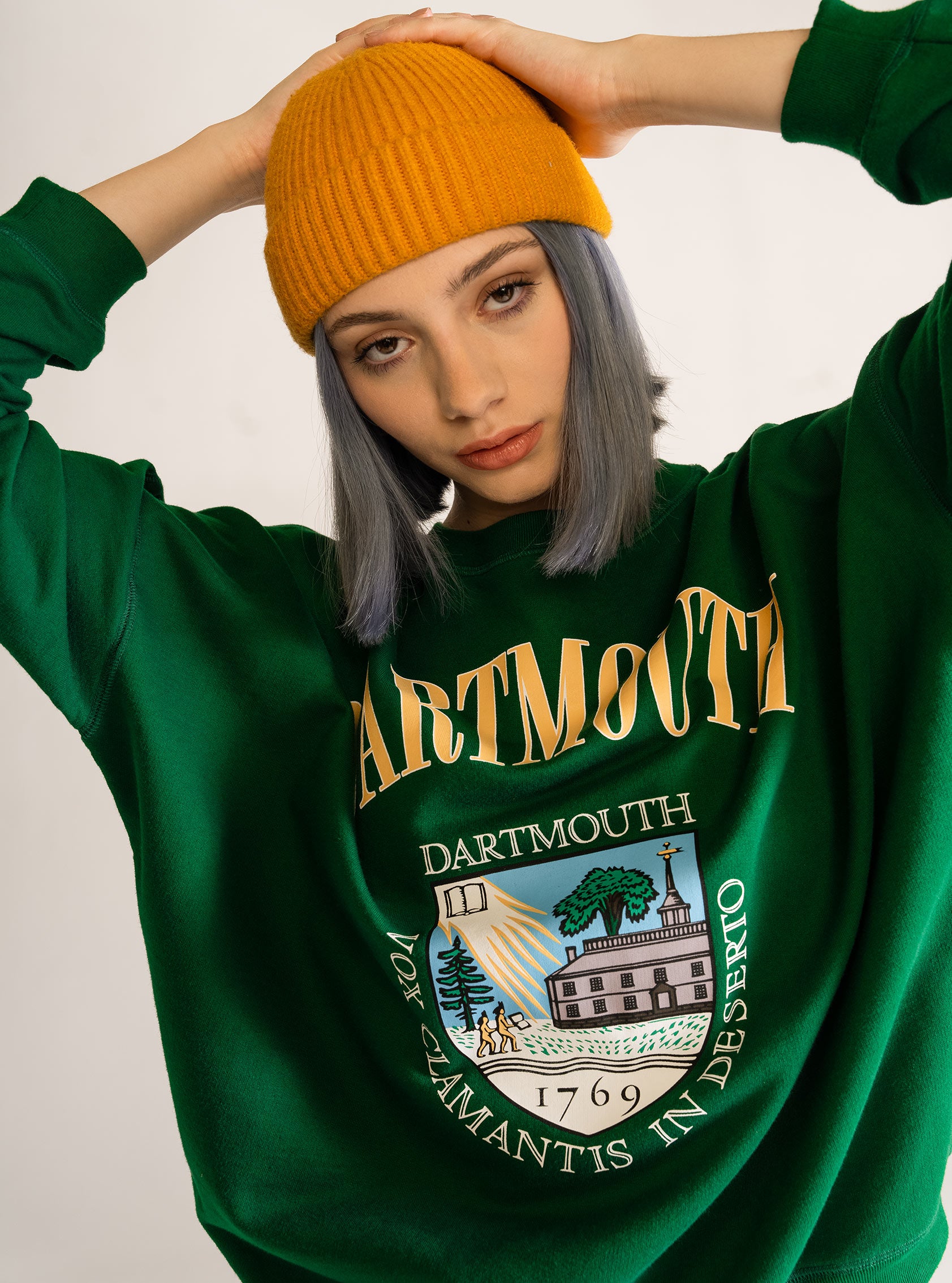 Dartmouth crewneck shop