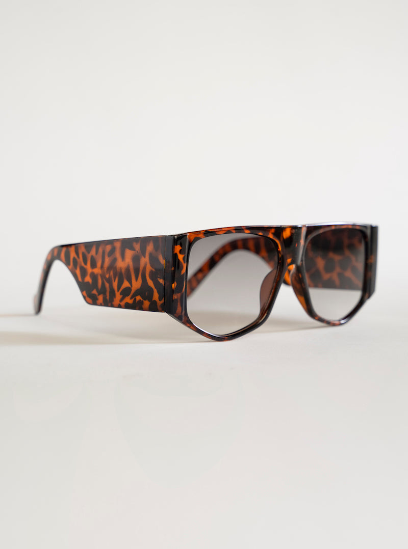 The Stronger One Lentes, Café Obscuro
